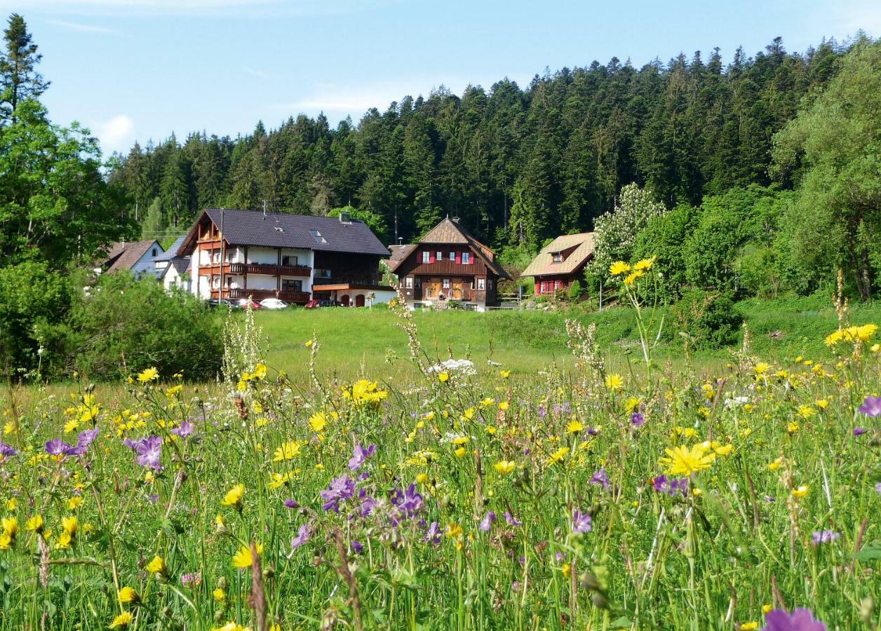 Landhaus Anja Freudenstadt Buitenkant foto